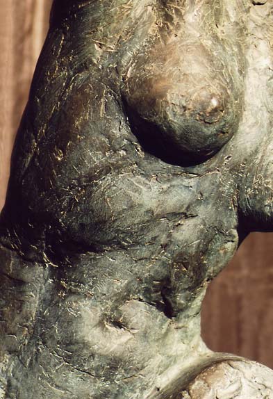 Torso - detail