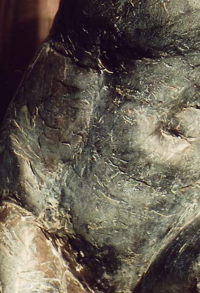 Torso - detail
