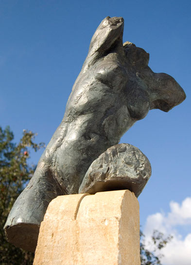 Torso