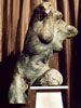 Torso